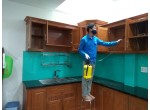DỊCH VỤ DIỆT MỐI TẬN GÓC TẠI TÂN PHÚ