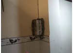 DỊCH VỤ DIỆT MỐI TẠI QUẬN BÌNH THẠNH