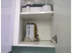 DỊCH VỤ DIỆT MỐI TẠI QUẬN GÒ VẤP