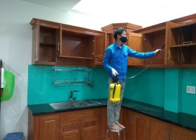 DỊCH VỤ DIỆT MỐI TẬN GÓC TẠI TÂN PHÚ