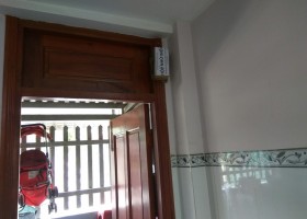 DỊCH VỤ DIỆT MỐI TẠI QUẬN TÂN BÌNH