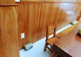 DỊCH VỤ DIỆT MỐI TẠI QUẬN 5